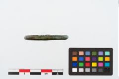 Foto von Bronzering (NHMW-PRAE-024653)